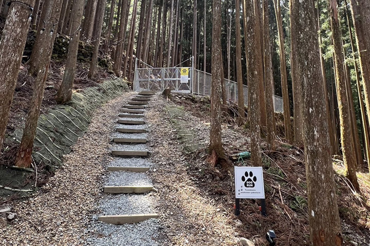 ドッグラン